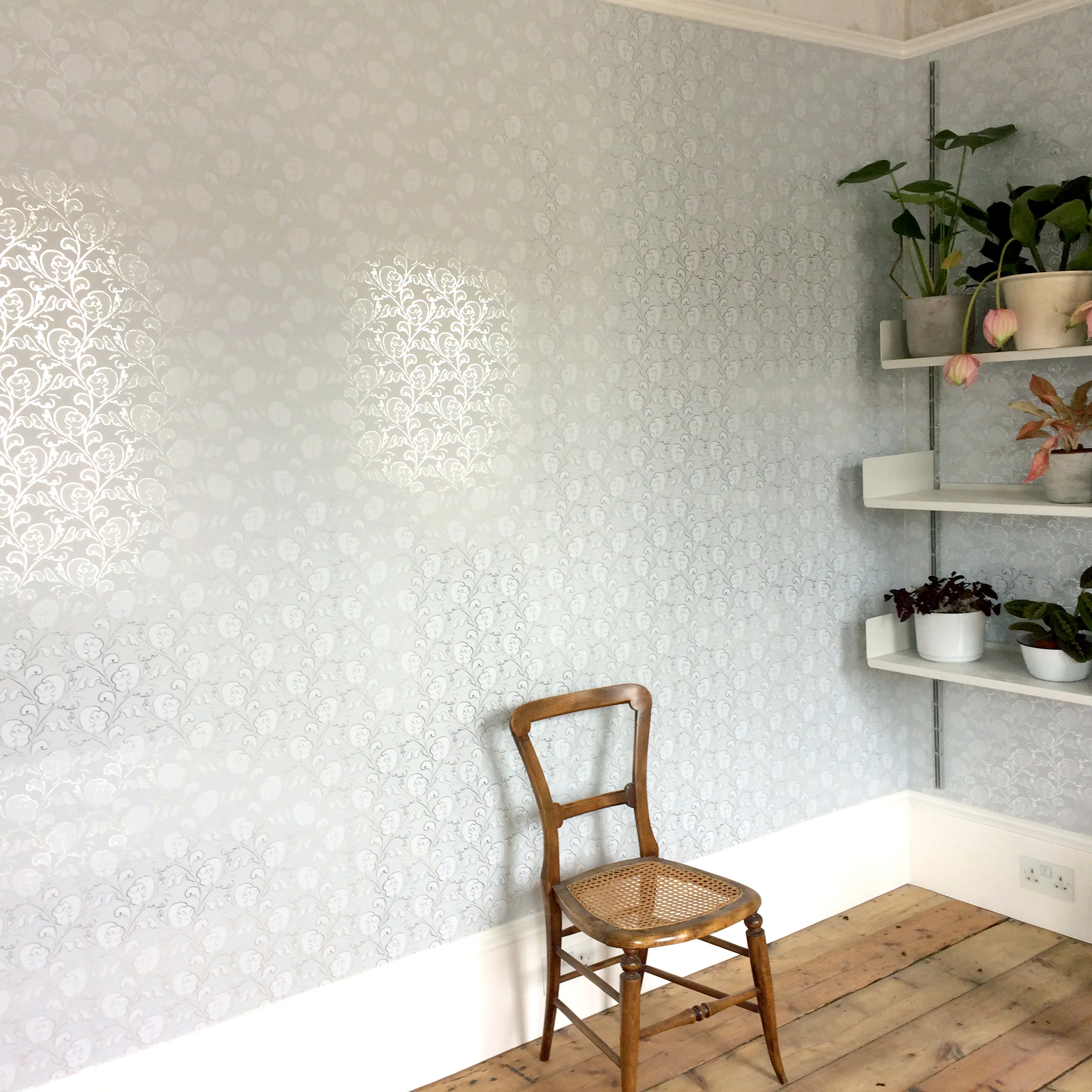 polly-dunbar-dream-silver-putty-white-romm2