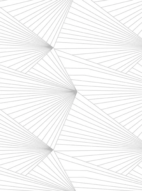Fan-grey-white-3