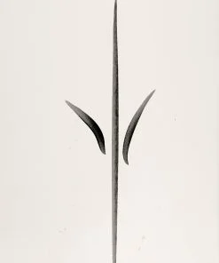 Wallflower-nepeta-black